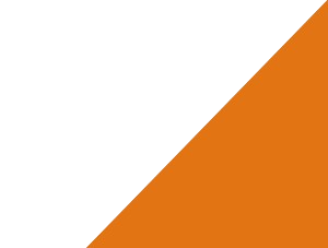 IBS Business Services