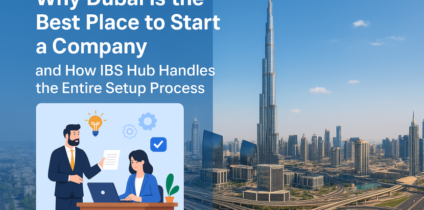 How IBS Hub Handles the Entire Setup Process
